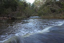 Wolgan River httpsuploadwikimediaorgwikipediacommonsthu