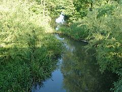Wolica (river) httpsuploadwikimediaorgwikipediacommonsthu