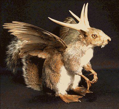 Wolpertinger Wolpertinger This is the legendary animal only found in Bavaria