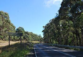 Wombat State Forest httpsuploadwikimediaorgwikipediacommonsthu