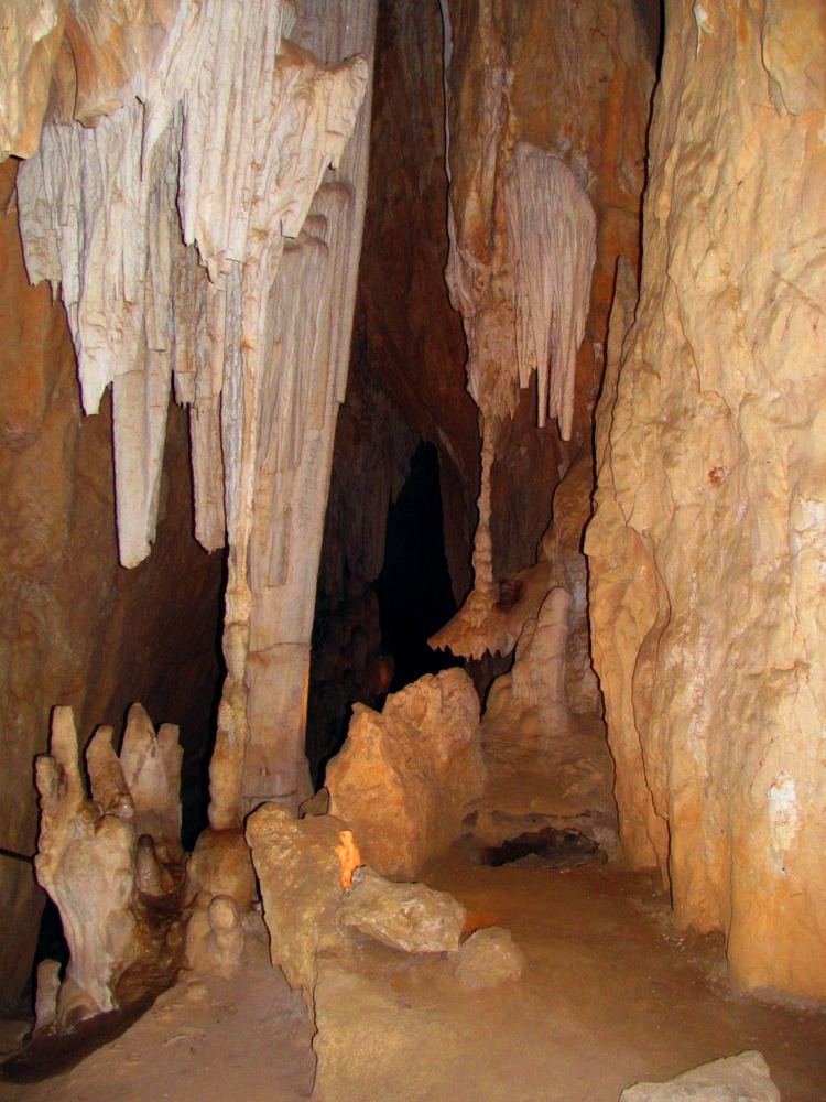 Wombeyan Caves httpsuploadwikimediaorgwikipediacommonsaa