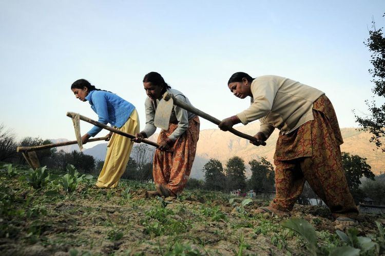 Women in agriculture in India