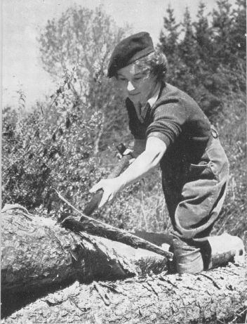 Women's Timber Corps