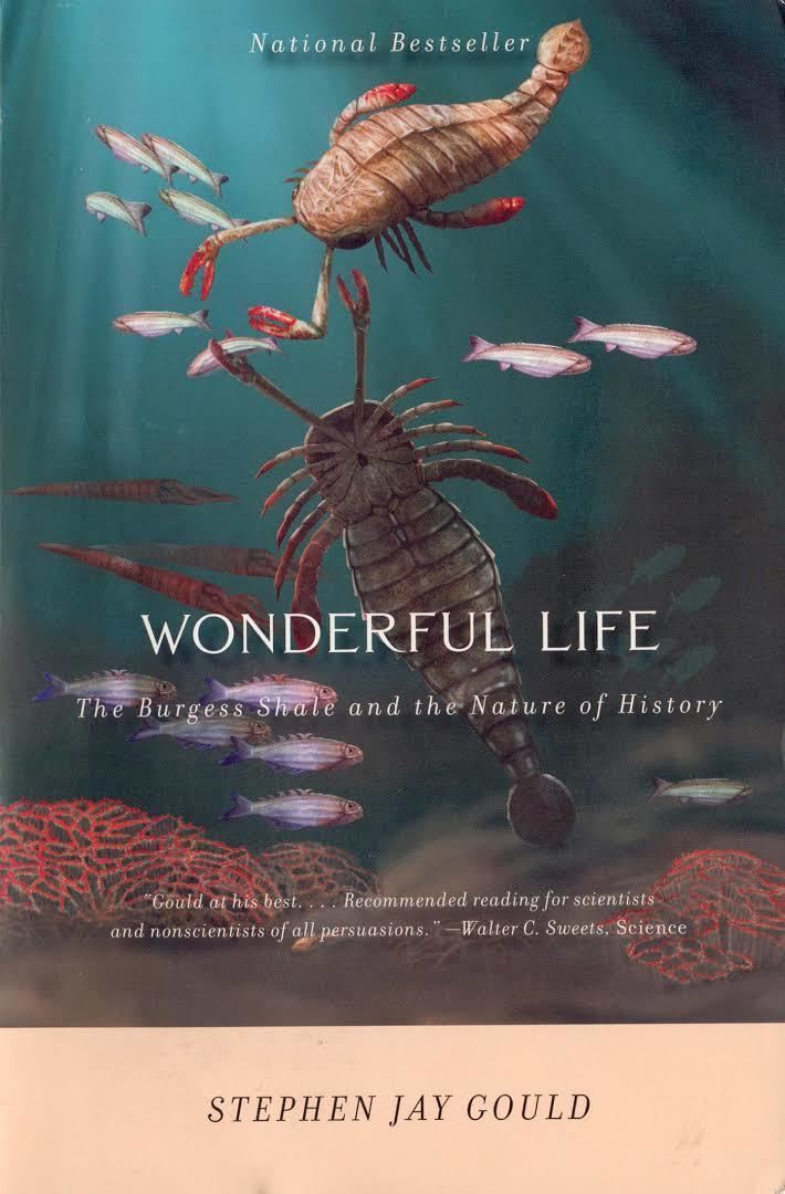 Wonderful Life (book) t2gstaticcomimagesqtbnANd9GcRvFBljNdV7F4e