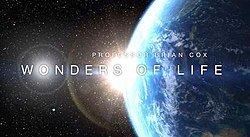 Wonders of Life (TV series) Wonders of Life TV series Wikipedia