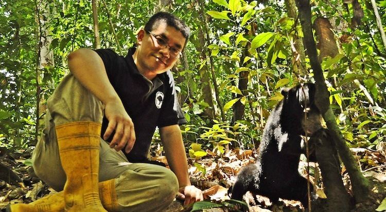 Wong Siew Te Sundays 3 Wong Siew Te on Conserving Sun Bears in Borneo
