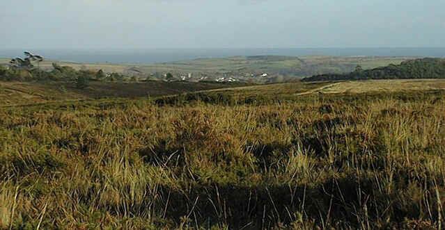 Woodbury Common, Devon East Devon Heathland