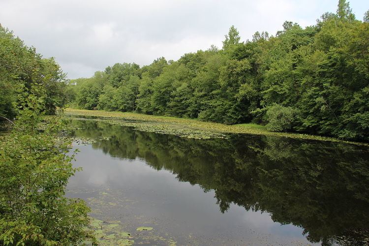 Woodcock Nature Center