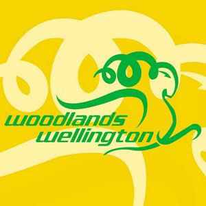 Woodlands Wellington FC httpsuploadwikimediaorgwikipediaen22bWoo