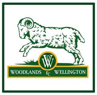 Woodlands Wellington FC FileWoodlands Wellington Football Club Logo 1996 to 2002jpg