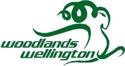 Woodlands Wellington FC Global Football trader Woodlands Wellington Football Club