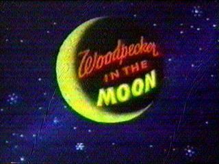 Woodpecker in the Moon movie poster