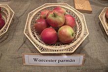 Worcester Pearmain httpsuploadwikimediaorgwikipediacommonsthu