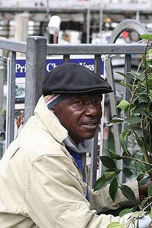 World Famous Bushman httpsuploadwikimediaorgwikipediacommonsthu