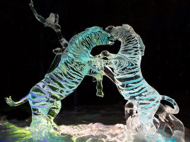World Ice Art Championships Fighter World Ice Art Championships 2015 Pictures CBS News