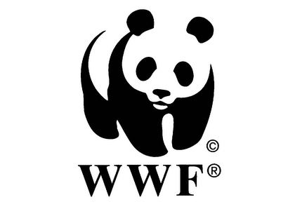 World Wide Fund for Nature World Wide Fund for Nature WWF Green Cross International