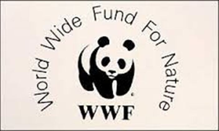 World Wide Fund for Nature Wwf World Wide Fund For Nature