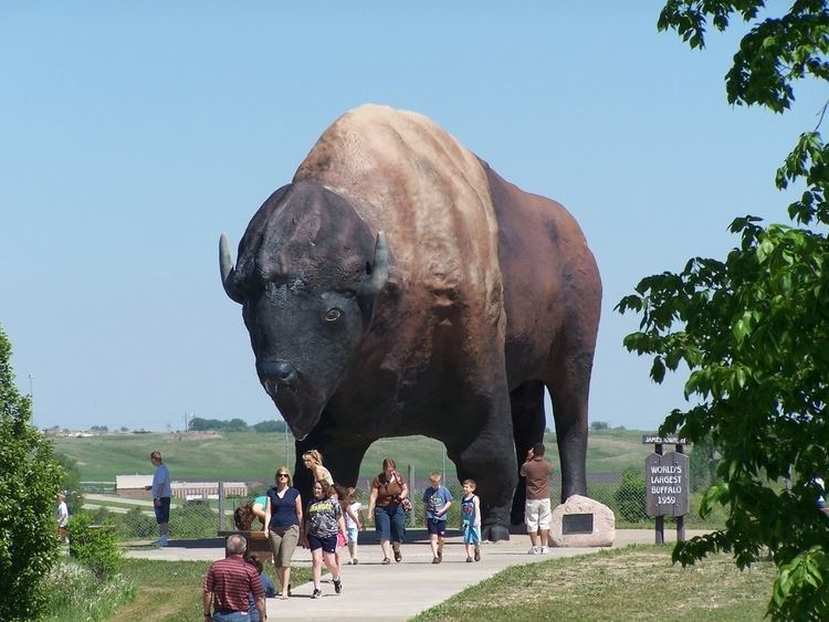 World's Largest Buffalo Worlds Largest Buffalo Wikipedia