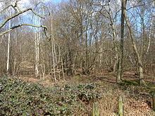 Wormley-Hoddesdonpark Wood South httpsuploadwikimediaorgwikipediacommonsthu