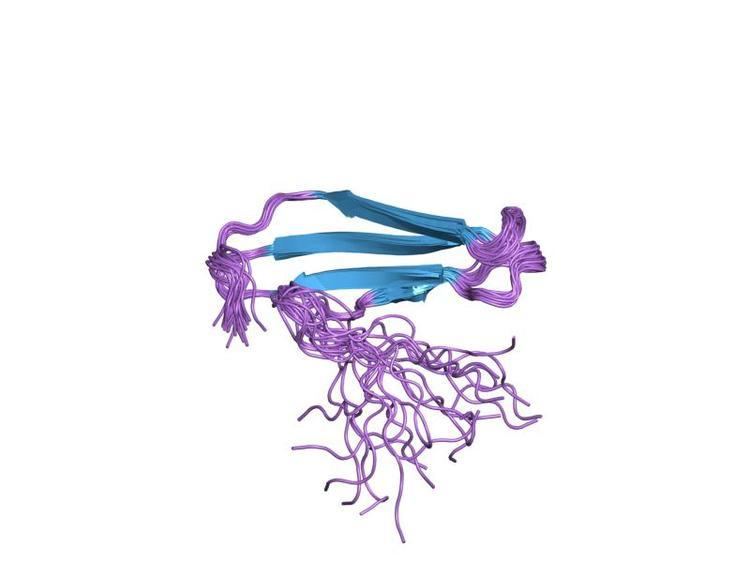 WRKY protein domain