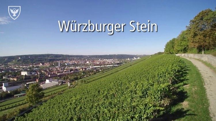 Würzburger Stein berflieger Wrzburger Stein Brgerspital YouTube