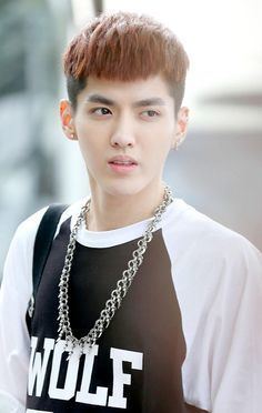 Wu Fan httpssmediacacheak0pinimgcom236x8a51af