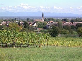 Wuenheim httpsuploadwikimediaorgwikipediacommonsthu