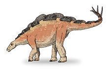 Wuerhosaurus httpsuploadwikimediaorgwikipediacommonsthu