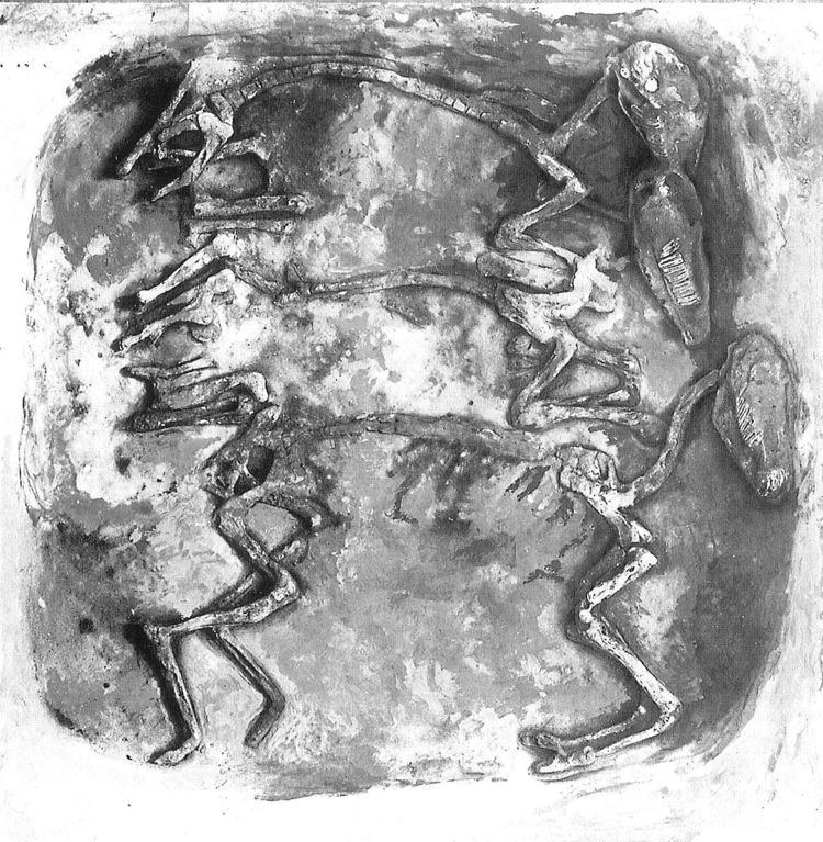 Wulfsen horse burial