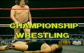 WWF Championship Wrestling WWF 1983 The death of the territories Grey Dog Software