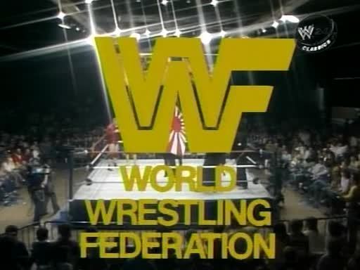 WWF Championship Wrestling cmaxcapsorgWWFCW114843jpg