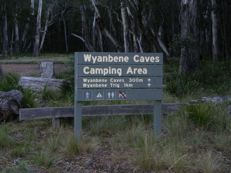 Wyanbene Caves memberstipnetausjenkinbikepiximgp0984jpg