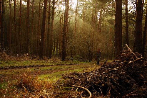 Wychwood Alchetron The Free Social Encyclopedia Wychwood Alchetron The Free Social Encyclopedia