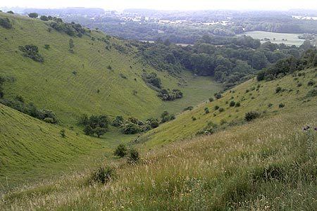Wye Downs Devils Kneading Trough dry valley on the Wye Downs Photo