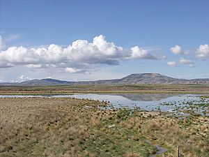 Wyoming Basin shrub steppe httpsuploadwikimediaorgwikipediacommonsthu