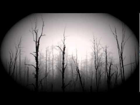 Wyrd (band) Wyrd Pale Forest YouTube
