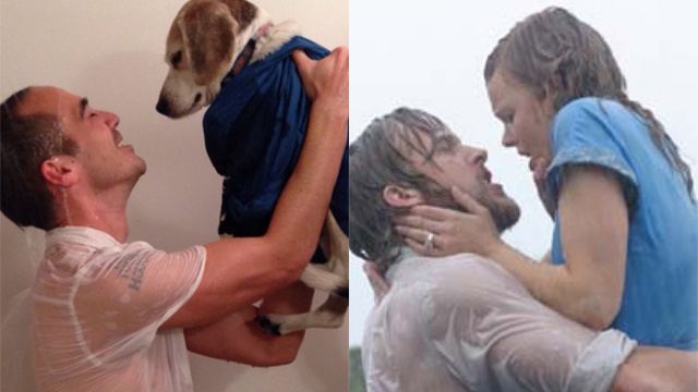 X-Large (film) movie scenes This Guy Recreated Famous Movie Scenes Using His Dog
