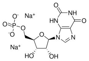 Xanthosine Xanthosine 5monophosphate disodium salt 85 SigmaAldrich