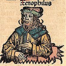 Xenophilus httpsuploadwikimediaorgwikipediacommonsthu