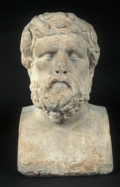 Xenophon Bust of Xenophon Collections Antiquities Museum