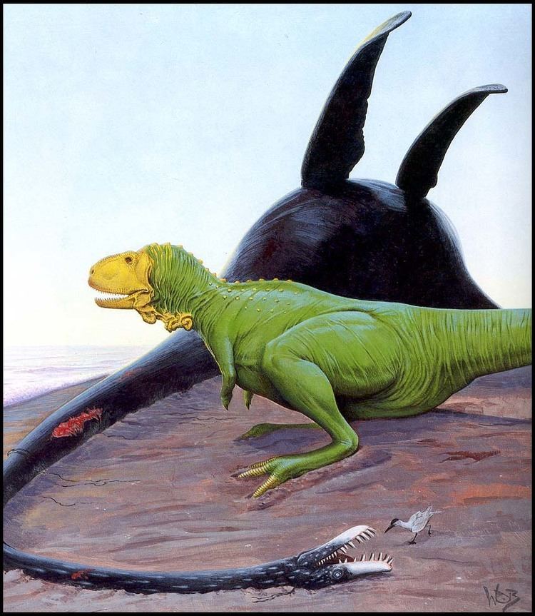 Xenotarsosaurus Xenotarsosaurus