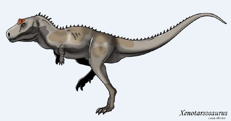 Xenotarsosaurus Xenotarsosaurus Pictures Facts The Dinosaur Database