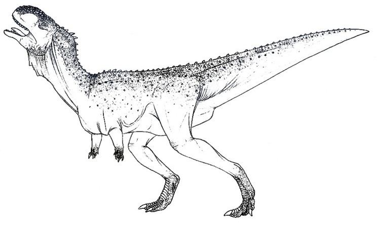 Xenotarsosaurus Xenotarsosaurus Pictures Facts The Dinosaur Database