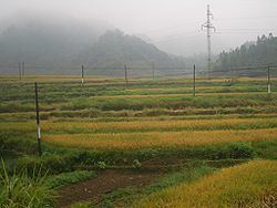 Xian'an District httpsuploadwikimediaorgwikipediacommonsthu