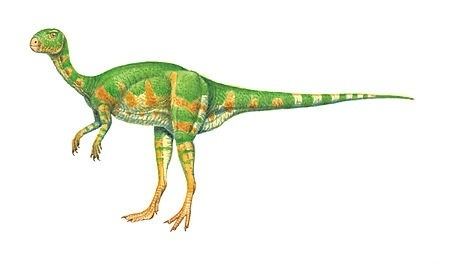 Xiaosaurus Dinosaurios Xiaosaurus