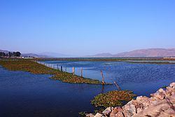 Xingyun Lake httpsuploadwikimediaorgwikipediacommonsthu