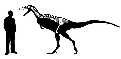 Xiongguanlong Xiongguanlong dinosaur Dinosaurs