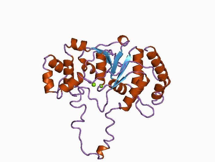 XPG I protein domain