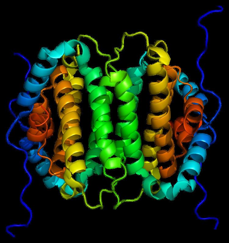 XTP3-transactivated gene A protein