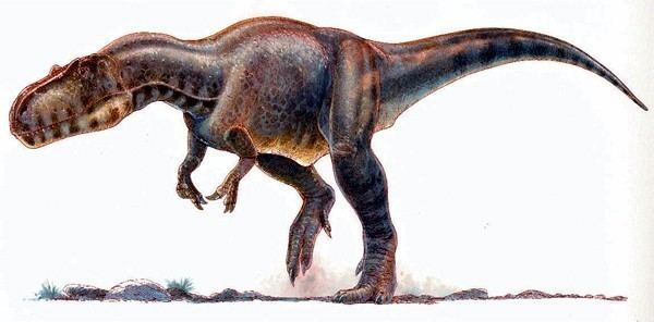 Xuanhanosaurus imagesdinosaurpicturesorgxuanhanosaurus01698fjpg